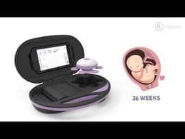 Fetal Lite